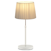 Raidan Adjustable Table Lamp